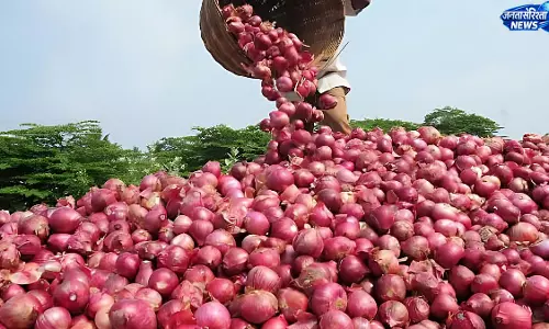 भारत-UK FTA से प्याज निर्यात को मिलेगा बढ़ावा