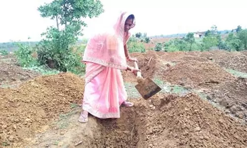 125 दिन रोजगार, 300 रुपये दिहाड़ी और समय पर भुगतान से बदली ग्रामीणों की जिंदगी 125 दिन रोजगार, 300 रुपये दिहाड़ी और समय पर भुगतान से बदली ग्रामीणों की जिंदगी