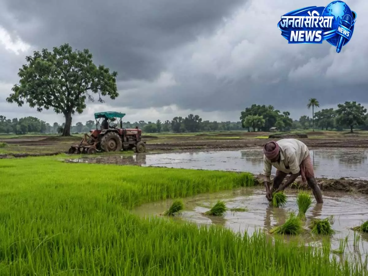 झारखंड के गढ़वा में किसानों को 50% सब्सिडी, मूंग-अरहर की खेती को मिलेगा बढ़ावा झारखंड के गढ़वा में किसानों को 50% सब्सिडी, मूंग-अरहर की खेती को मिलेगा बढ़ावा