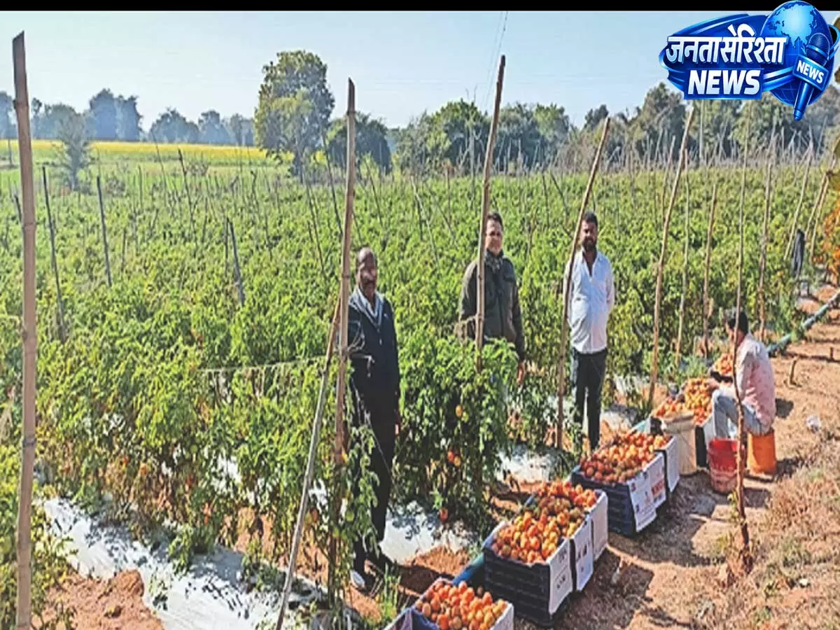 पश्चिमी चंपारण में मल्टी लेयर खेती मॉडल से किसानों की आय होगी तीन गुना तक पश्चिमी चंपारण में मल्टी लेयर खेती मॉडल से किसानों की आय होगी तीन गुना तक