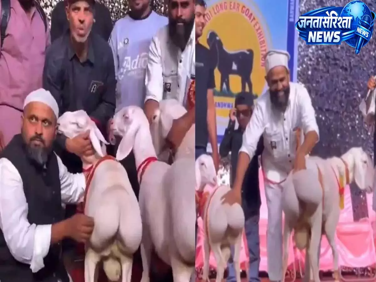Video : पाकिस्तान के कथित बकरी ब्यूटी कॉन्टेस्ट का वीडियो वायरल, सोशल मीडिया पर भड़के लोग Video : पाकिस्तान के कथित बकरी ब्यूटी कॉन्टेस्ट का वीडियो वायरल, सोशल मीडिया पर भड़के लोग