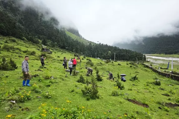 Sikkim का हरित अभियान सफल, युमथांग में वृक्षारोपण के साथ दो हफ्ते का पर्यावरण पर्व समाप्त Sikkim का हरित अभियान सफल, युमथांग में वृक्षारोपण के साथ दो हफ्ते का पर्यावरण पर्व समाप्त