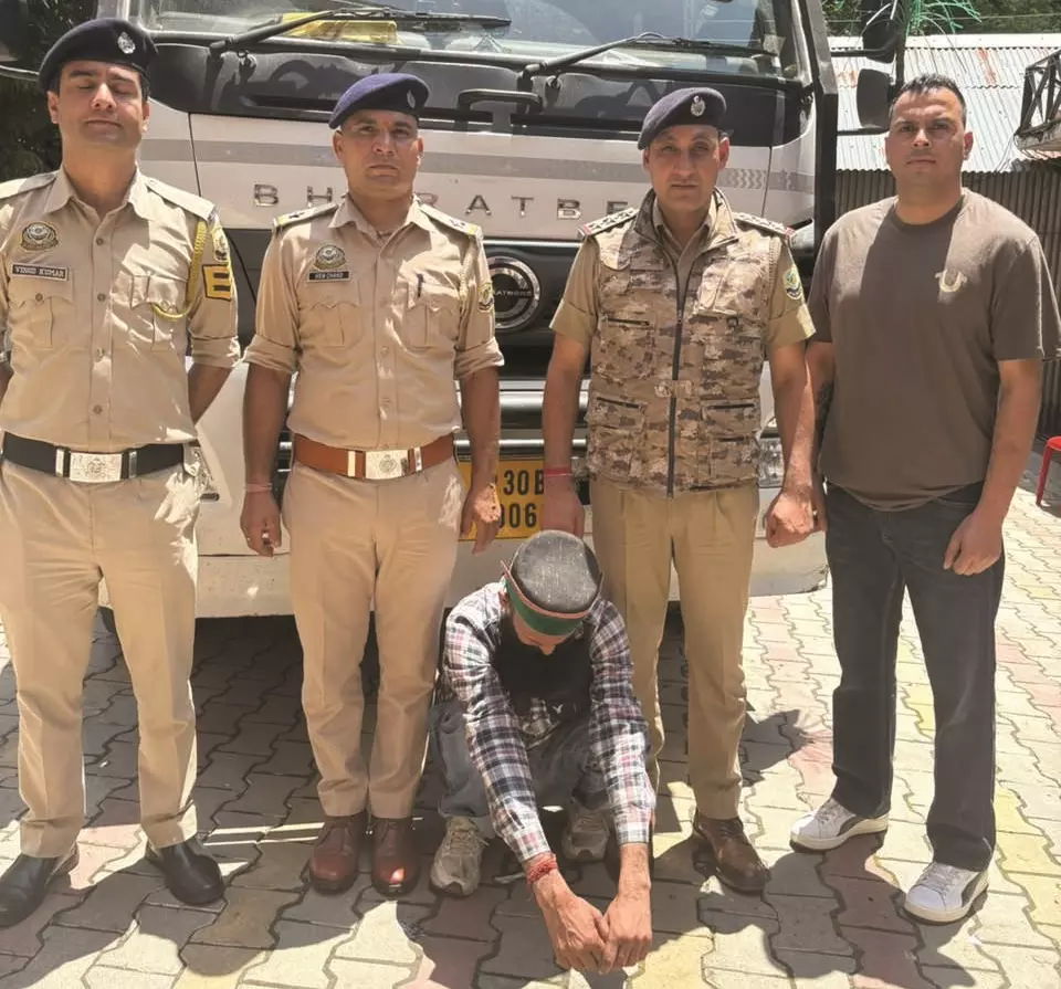 Kullu: सोलंगनाला में आबकारी कार्रवाई, अवैध शराब से भरा ट्रक पकड़ा Kullu: सोलंगनाला में आबकारी कार्रवाई, अवैध शराब से भरा ट्रक पकड़ा