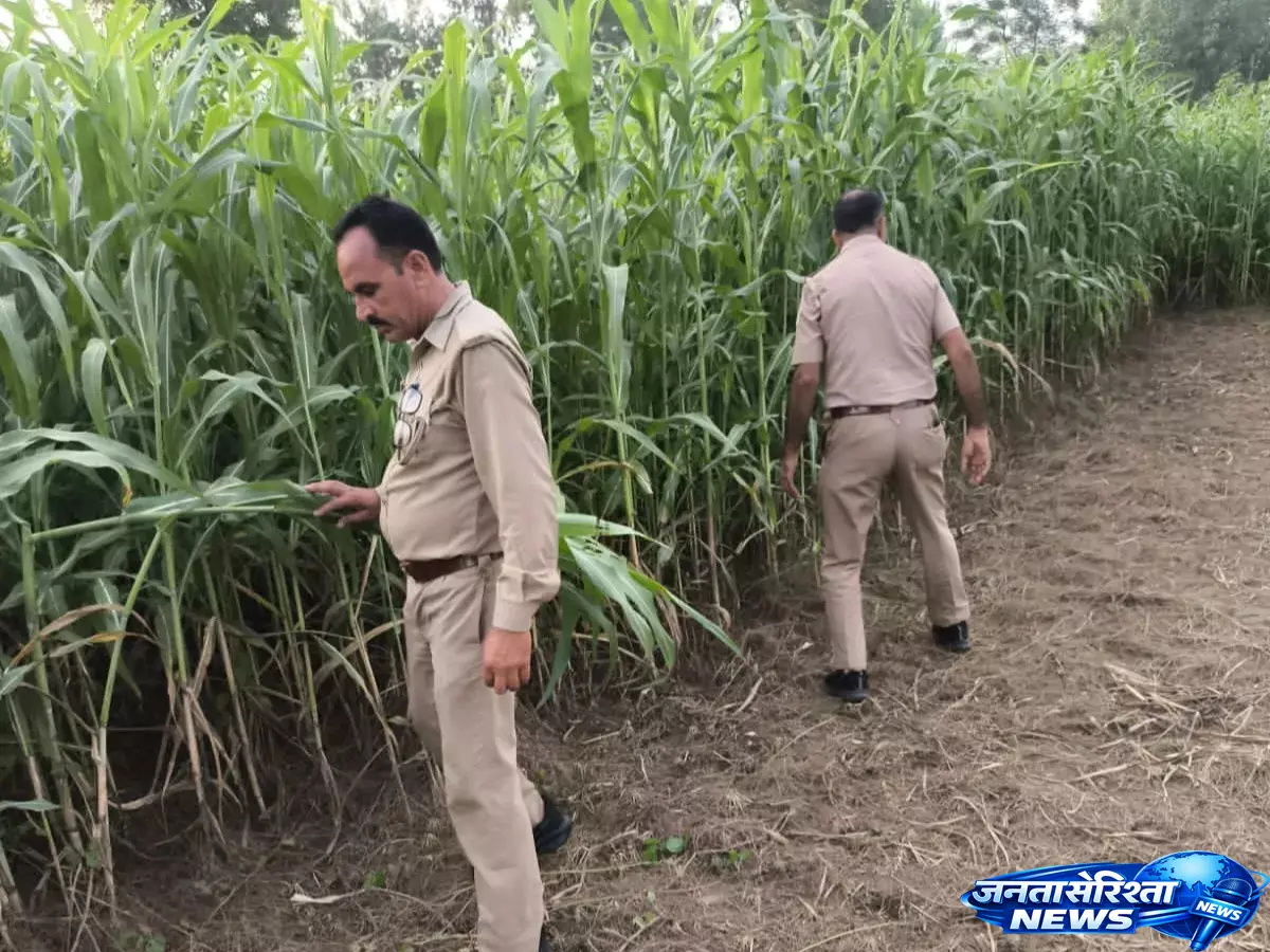 Kanwar यात्रा से पहले आबकारी विभाग का विशेष अभियान, बिक्री व्यवस्था पर नजर Kanwar यात्रा से पहले आबकारी विभाग का विशेष अभियान, बिक्री व्यवस्था पर नजर
