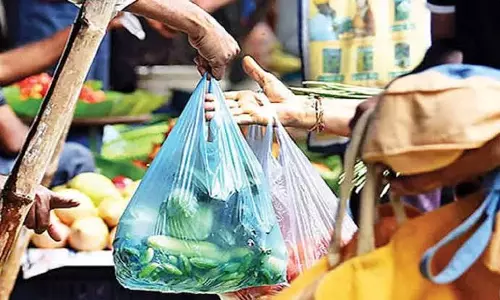 Mandi: पर्यावरण संरक्षण के लिए प्रतिबंधित प्लास्टिक पर सख्त निगरानी
