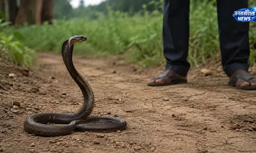 सांप के काटने से युवक की मौत, इलाज में देरी बनी वजह सांप के काटने से युवक की मौत, इलाज में देरी बनी वजह