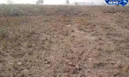 Solan जमीन विवाद में हिंसा, क्रॉस FIR दर्ज Solan जमीन विवाद में हिंसा, क्रॉस FIR दर्ज