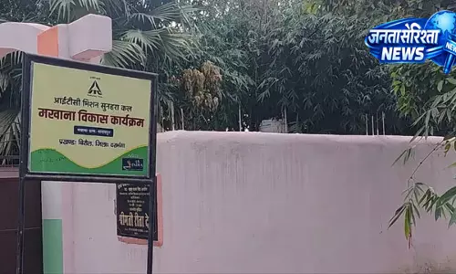 ITC मिशन सुनहरा कल से मखाना किसानों को मिलेगा नया संबल ITC मिशन सुनहरा कल से मखाना किसानों को मिलेगा नया संबल