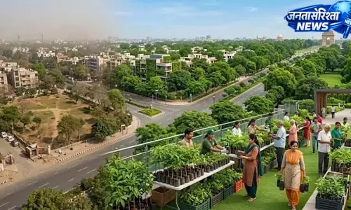 दिल्ली में बढ़ा हरित आवरण, इस साल मिलेंगे 10 लाख मुफ्त पौधे दिल्ली में बढ़ा हरित आवरण, इस साल मिलेंगे 10 लाख मुफ्त पौधे