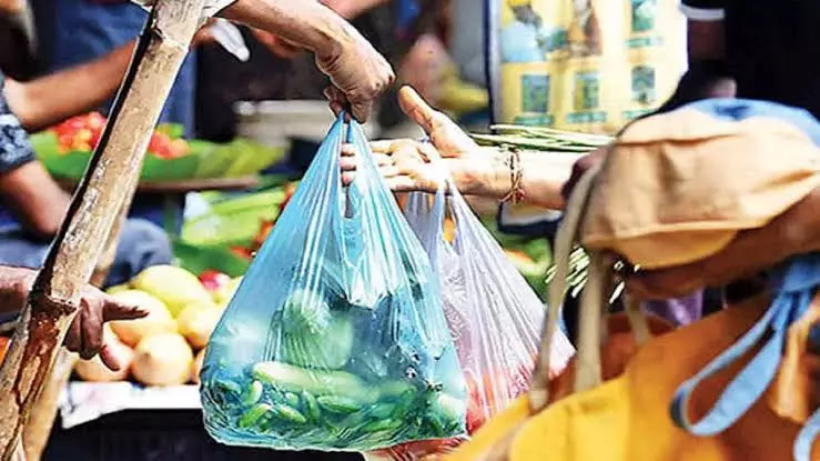 Mandi: पर्यावरण संरक्षण के लिए प्रतिबंधित प्लास्टिक पर सख्त निगरानी Mandi: पर्यावरण संरक्षण के लिए प्रतिबंधित प्लास्टिक पर सख्त निगरानी