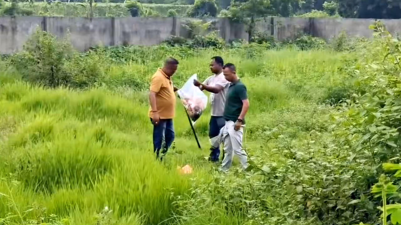 Bengal: अवैध संबंधों में खूनी खेल, बागडोगरा में कटा सिर मिलने से सनसनी Bengal: अवैध संबंधों में खूनी खेल, बागडोगरा में कटा सिर मिलने से सनसनी
