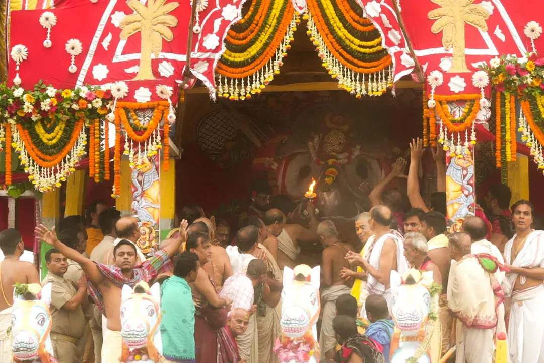 पुरी रथ यात्रा का दूसरा दिन: भगवान जगन्नाथ, बलभद्र और सुभद्रा के रथ गुंडिचा मंदिर पहुंचे पुरी रथ यात्रा का दूसरा दिन: भगवान जगन्नाथ, बलभद्र और सुभद्रा के रथ गुंडिचा मंदिर पहुंचे
