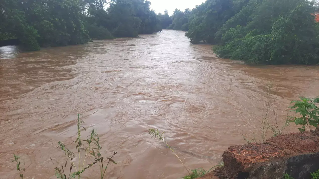 Cuttack में लगातार बारिश से सपुआ नदी उफान पर, अथागढ़ में बाढ़ का खतरा बढ़ा Cuttack में लगातार बारिश से सपुआ नदी उफान पर, अथागढ़ में बाढ़ का खतरा बढ़ा