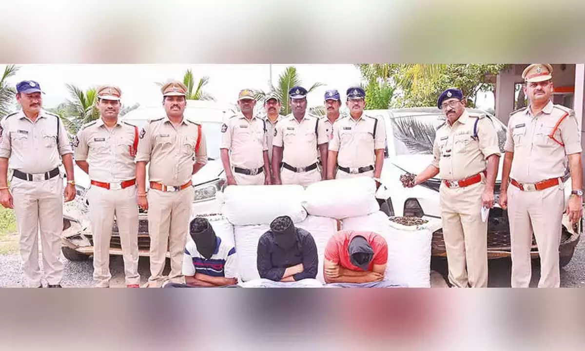 Andhra: अनकापल्ली जिला पुलिस ने 1.1 करोड़ रुपये मूल्य का 220 किलोग्राम गांजा जब्त किया