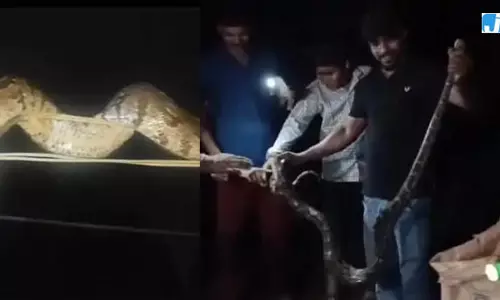 8 फिट का अजगर दिखा मेले में, श्रद्धालुओं में मचा हड़कंप 8 फिट का अजगर दिखा मेले में, श्रद्धालुओं में मचा हड़कंप