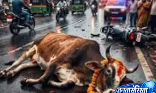 Muzaffarnagar; में दर्दनाक हादसा, चालक पर केस दर्ज Muzaffarnagar; में दर्दनाक हादसा, चालक पर केस दर्ज