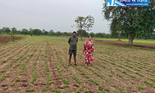 धान से मूंगफली की ओर बढ़ते कदम, किसानों ने अपनाया लाभकारी विकल्प धान से मूंगफली की ओर बढ़ते कदम, किसानों ने अपनाया लाभकारी विकल्प