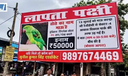 वकील साहब का पालतू तोता माऊ लापता, खोजने वाले को मिलेगा 50 हजार का इनाम, लगवा दिए होर्डिंग वकील साहब का पालतू तोता माऊ लापता, खोजने वाले को मिलेगा 50 हजार का इनाम, लगवा दिए होर्डिंग