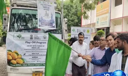UP, के बागबानों के लिए बड़ी सौगात, आम्रपाली आम का हुआ अंतरराष्ट्रीय निर्यात UP, के बागबानों के लिए बड़ी सौगात, आम्रपाली आम का हुआ अंतरराष्ट्रीय निर्यात