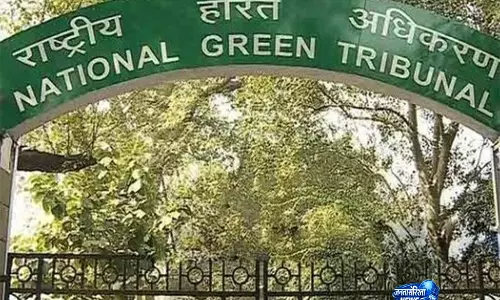 यमुना बाढ़ क्षेत्र पर NGT सख्त, मांगी नई रिपोर्ट यमुना बाढ़ क्षेत्र पर NGT सख्त, मांगी नई रिपोर्ट