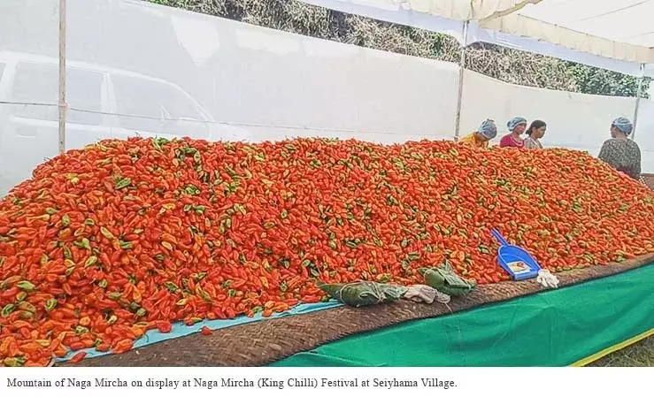 Nagaland: सपोटिमी अपना पहला मिर्च महोत्सव मना रहे Nagaland: सपोटिमी अपना पहला मिर्च महोत्सव मना रहे