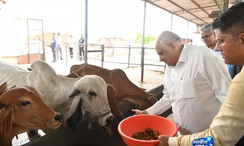 गुजरात के CM भूपेन्द्र पटेल ने महुन्द्रा में प्राकृतिक कृषि फार्म का किया दौरा गुजरात के CM भूपेन्द्र पटेल ने महुन्द्रा में प्राकृतिक कृषि फार्म का किया दौरा