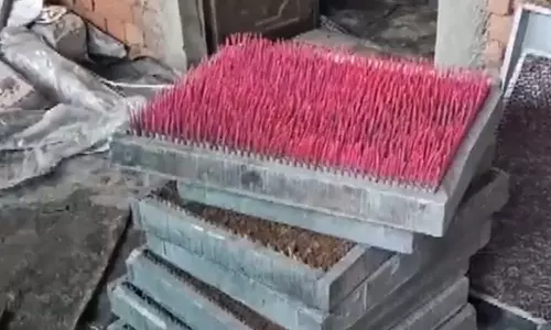 पटाखा फैक्ट्री में भीषण आग, रामोल-गात्रड रोड स्थित टैलेंट फायरवर्क्स में मचा हड़कंप पटाखा फैक्ट्री में भीषण आग, रामोल-गात्रड रोड स्थित टैलेंट फायरवर्क्स में मचा हड़कंप