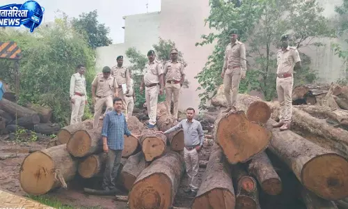 कोरबा में 206 साल पेड़ों की लकड़ी की अवैध हेराफेरी का खुलासा कोरबा में 206 साल पेड़ों की लकड़ी की अवैध हेराफेरी का खुलासा