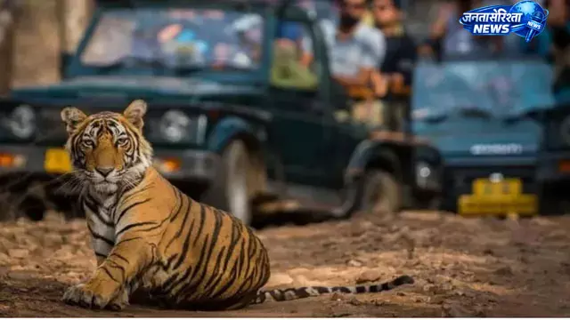 गौलापार जू सफारी परियोजना को मिली रफ्तार, 412 हेक्टेयर में बनेगा अंतरराष्ट्रीय चिड़ियाघर गौलापार जू सफारी परियोजना को मिली रफ्तार, 412 हेक्टेयर में बनेगा अंतरराष्ट्रीय चिड़ियाघर