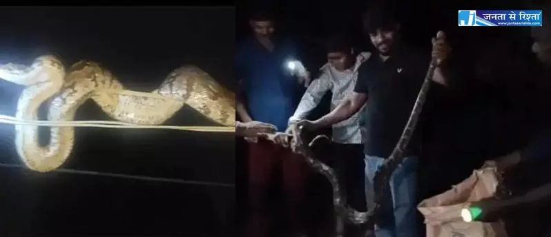 8 फिट का अजगर दिखा मेले में, श्रद्धालुओं में मचा हड़कंप 8 फिट का अजगर दिखा मेले में, श्रद्धालुओं में मचा हड़कंप