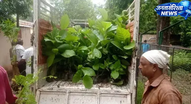 हरियाली अभियान: 82 हजार पौधे लगाएगा वन विभाग, 2 लाख का होगा वितरण हरियाली अभियान: 82 हजार पौधे लगाएगा वन विभाग, 2 लाख का होगा वितरण