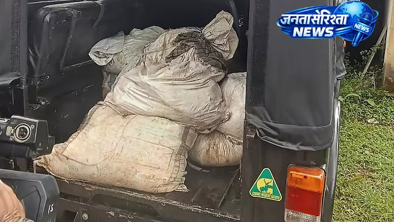 Karnataka : गौर शिकार केस में दो शिकारी गिरफ्तार, वन विभाग ने घेरा Karnataka : गौर शिकार केस में दो शिकारी गिरफ्तार, वन विभाग ने घेरा