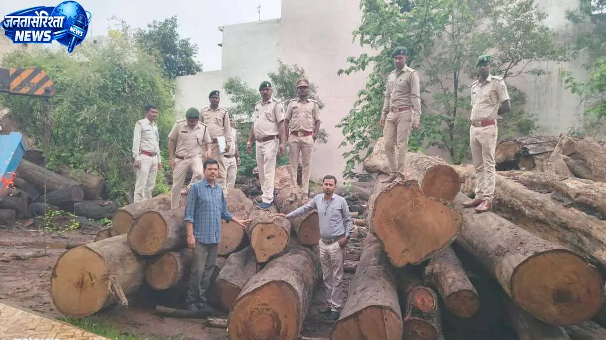 कोरबा में 206 साल पेड़ों की लकड़ी की अवैध हेराफेरी का खुलासा कोरबा में 206 साल पेड़ों की लकड़ी की अवैध हेराफेरी का खुलासा