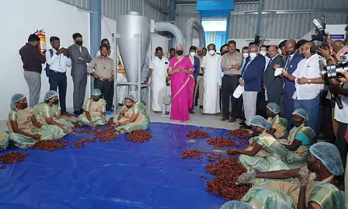 फ़र्ज़ी डीड रजिस्ट्रेशन मामलों में होगी सख़्त कार्रवाई, दोषियों को नहीं मिलेगी राहत: Minister फ़र्ज़ी डीड रजिस्ट्रेशन मामलों में होगी सख़्त कार्रवाई, दोषियों को नहीं मिलेगी राहत: Minister