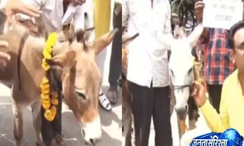 Video: भोपाल में बारिश के लिए अनोखी परंपरा, लोगों ने गधों को खिलाए गुलाब जामुन Video: भोपाल में बारिश के लिए अनोखी परंपरा, लोगों ने गधों को खिलाए गुलाब जामुन