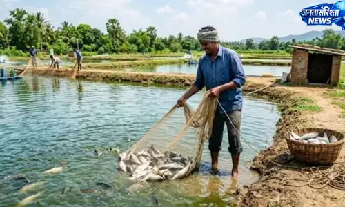 मत्स्य योजनाओं का लाभ लेने के लिए 31 जुलाई तक करें ऑनलाइन आवेदन मत्स्य योजनाओं का लाभ लेने के लिए 31 जुलाई तक करें ऑनलाइन आवेदन