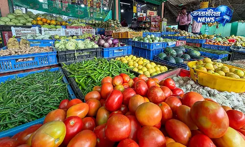 Karnataka : मानसून की कमी, प्याज-मिर्च-टमाटर की बुआई धीमी Karnataka : मानसून की कमी, प्याज-मिर्च-टमाटर की बुआई धीमी