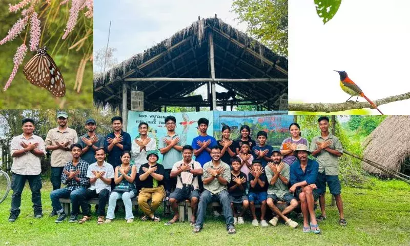 असम में पर्यावरण संरक्षण: बाघमोरा इको कैंप में हुआ बटरफ्लाई और बर्ड वॉक असम में पर्यावरण संरक्षण: बाघमोरा इको कैंप में हुआ बटरफ्लाई और बर्ड वॉक