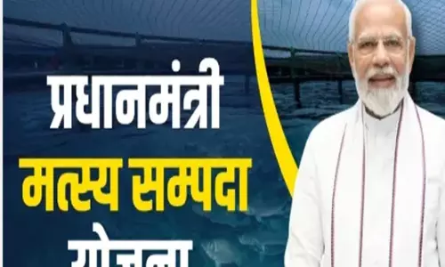 Fish पालन को बढ़ावा, सरकारी योजनाओं का लाभ लें Fish पालन को बढ़ावा, सरकारी योजनाओं का लाभ लें