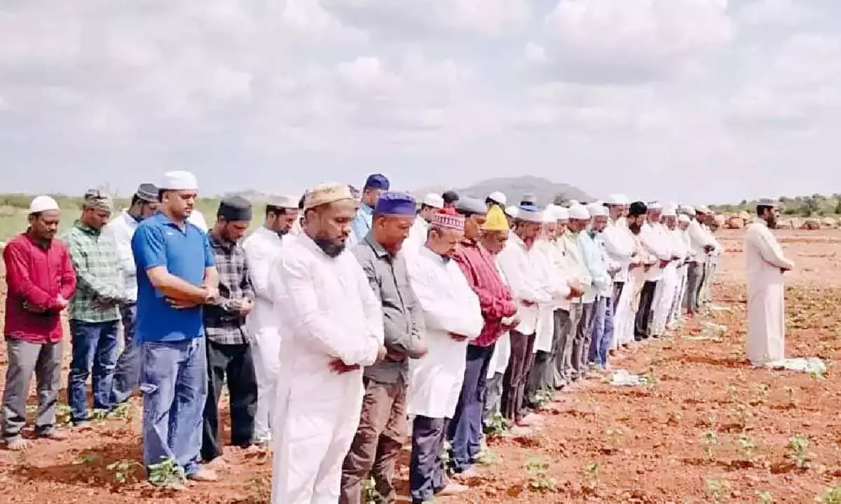 Andhra: सूखे खेतों की वजह से अलूर के लोग बारिश के लिए प्रार्थना कर रहे हैं Andhra: सूखे खेतों की वजह से अलूर के लोग बारिश के लिए प्रार्थना कर रहे हैं