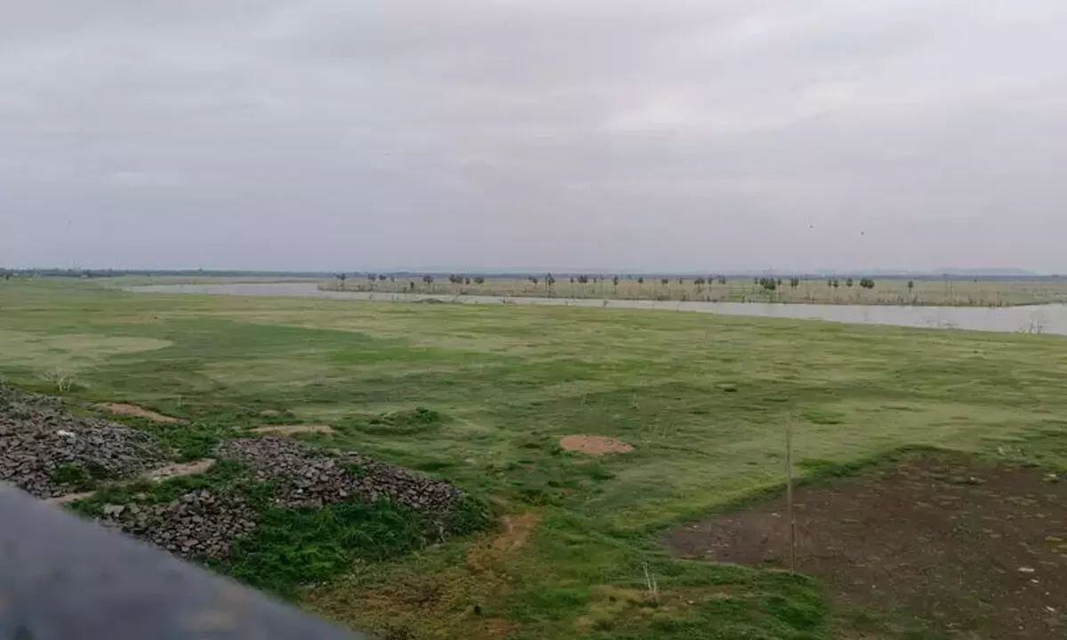 अल नीनो का असर: मिड मनेर जलाशय का जलस्तर बहुत नीचे गिर गया है अल नीनो का असर: मिड मनेर जलाशय का जलस्तर बहुत नीचे गिर गया है