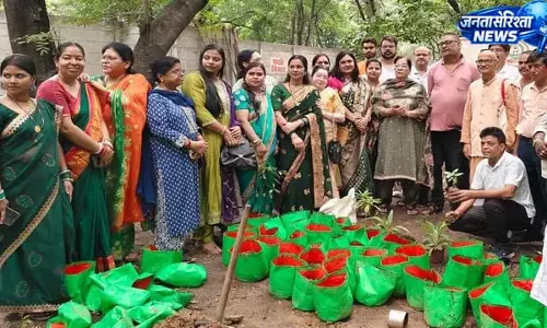 धनबाद में बनी विशाल औषधि वाटिका, आयुर्वेद को मिलेगा बढ़ावा धनबाद में बनी विशाल औषधि वाटिका, आयुर्वेद को मिलेगा बढ़ावा