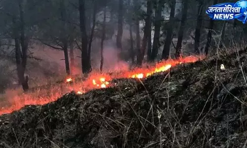 झारखंड के जंगलों को राहत, आग की घटनाएं 8000 से घटीं झारखंड के जंगलों को राहत, आग की घटनाएं 8000 से घटीं