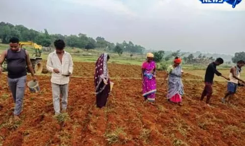 आधुनिक कृषि तकनीक से चमकेगी किसान की किस्मत आधुनिक कृषि तकनीक से चमकेगी किसान की किस्मत