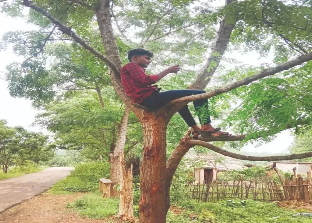 Odisha : अनुगोल के गांवों में नेटवर्क संकट Odisha : अनुगोल के गांवों में नेटवर्क संकट