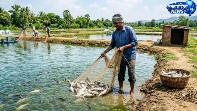 मत्स्य योजनाओं का लाभ लेने के लिए 31 जुलाई तक करें ऑनलाइन आवेदन मत्स्य योजनाओं का लाभ लेने के लिए 31 जुलाई तक करें ऑनलाइन आवेदन