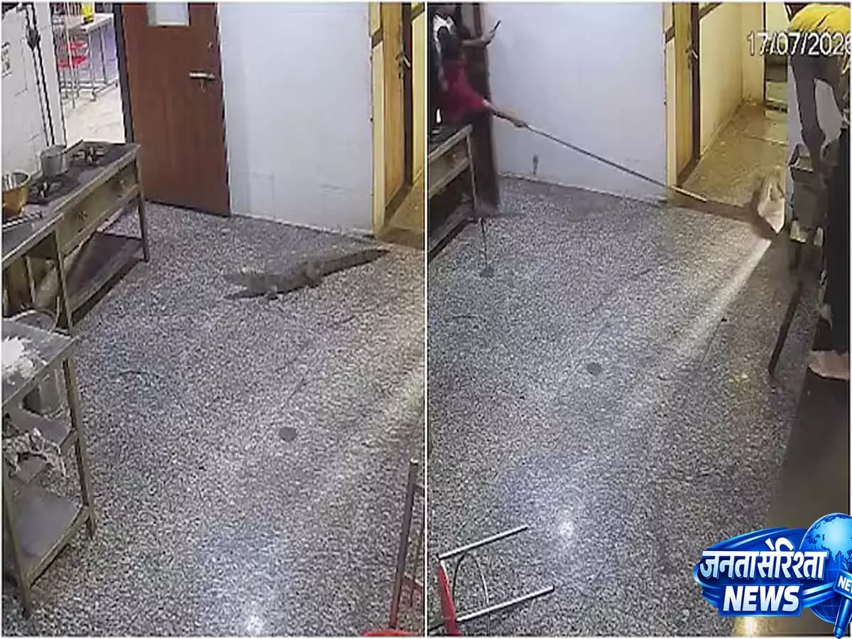 कोटा हॉस्टल की मेस में घुसा विशाल मगरमच्छ, CCTV में कैद हुआ रोमांचक रेस्क्यू ऑपरेशन कोटा हॉस्टल की मेस में घुसा विशाल मगरमच्छ, CCTV में कैद हुआ रोमांचक रेस्क्यू ऑपरेशन