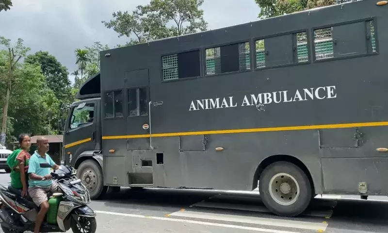 वनतारा से जुड़ा काफिला अरुणाचल पहुंचा, हाथियों के स्थानांतरण पर नए सवाल उठे वनतारा से जुड़ा काफिला अरुणाचल पहुंचा, हाथियों के स्थानांतरण पर नए सवाल उठे