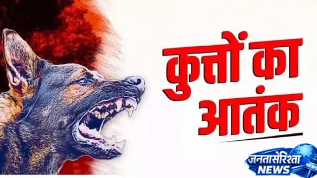 पंचकूला में आवारा कुत्तों का आतंक, मां ने बचाई बेटे की जान पंचकूला में आवारा कुत्तों का आतंक, मां ने बचाई बेटे की जान