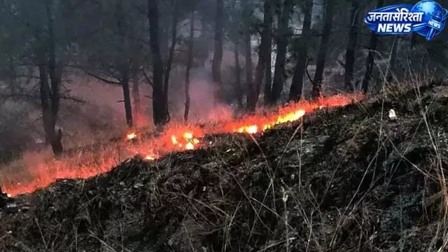 झारखंड के जंगलों को राहत, आग की घटनाएं 8000 से घटीं झारखंड के जंगलों को राहत, आग की घटनाएं 8000 से घटीं